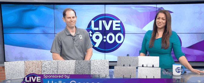 Memphis News Segment