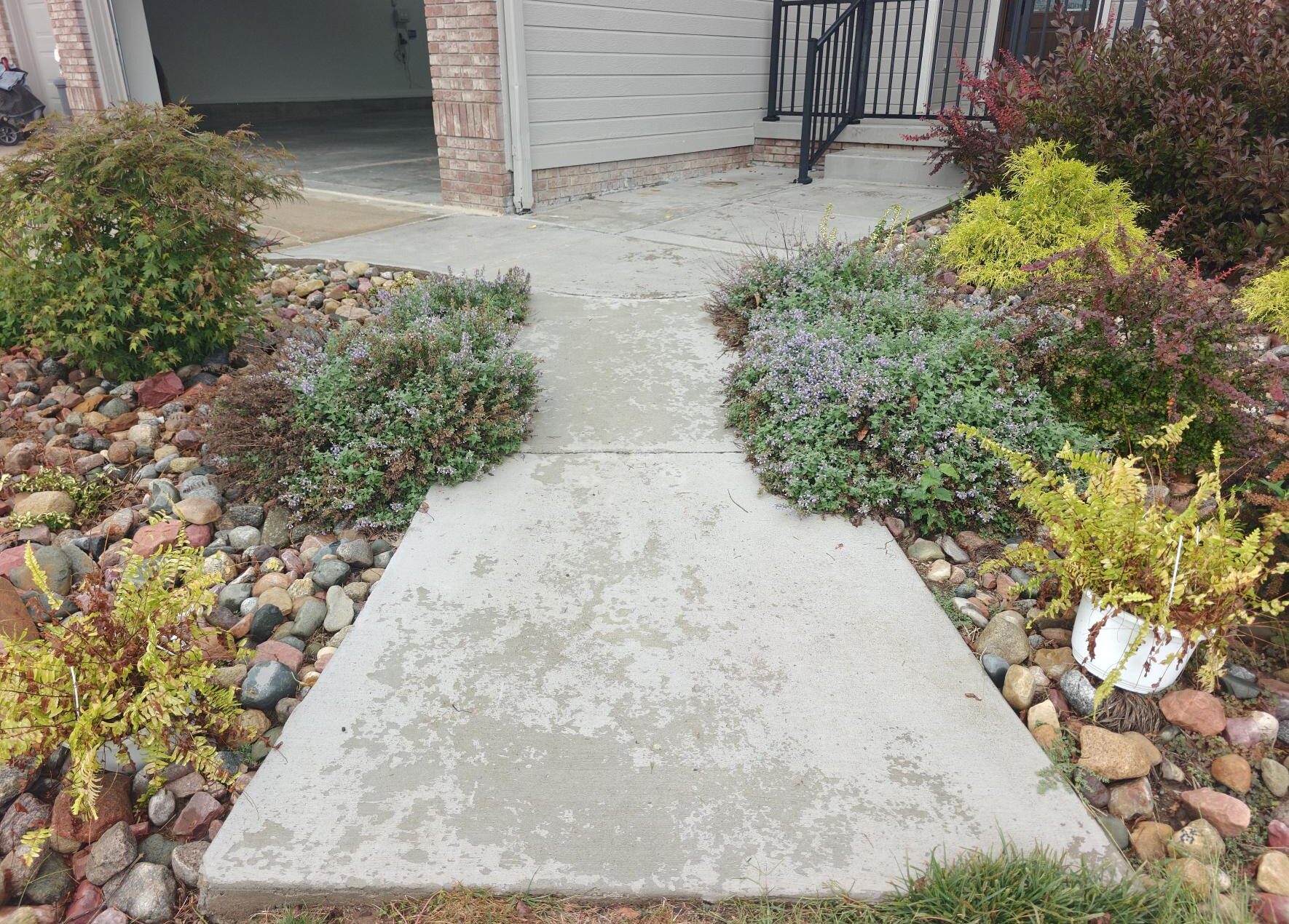 uncoated front walkway