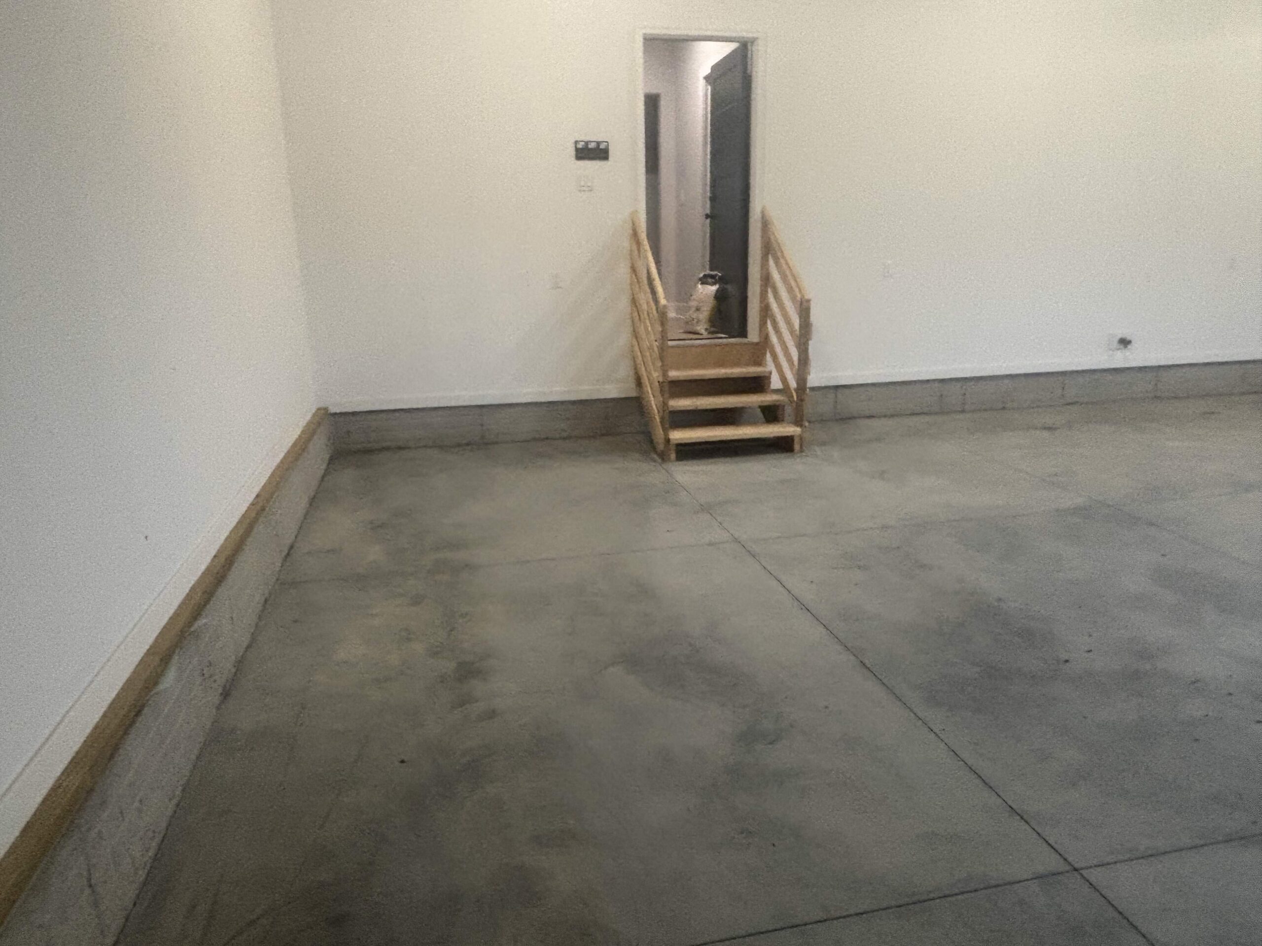 garage renovation before in fremont